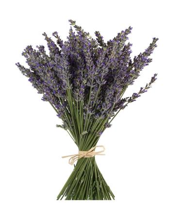 TooGet Natural Lavender Bundles  Freshly Harvested 400+ Stems Dried Lavender Bunch 16 - 18 Long  Decorative Flowers Bouquet for Home Decor  Crafts  Gift  Wedding or Any Occasion