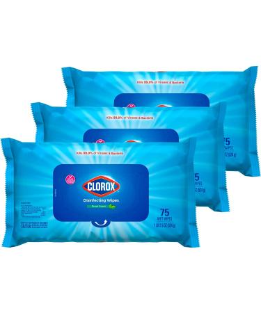 Clorox Disinfecting Wipes Bleach Free Cleaning Wipes Multi-surface Wipes with Moisture Seal Lid Easy Pull Wipes Pack Fresh Scent 75 Wipes (Pack of 3) - Packaging May Vary 75ct Disinfecting Wipes (Pack of 3)